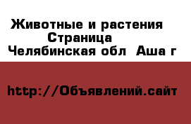  Животные и растения - Страница 10 . Челябинская обл.,Аша г.